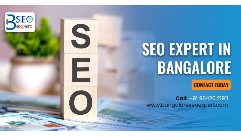 seo-expert-in-bangalore-seo-freelancer-bangaloreseoexpert-big-0