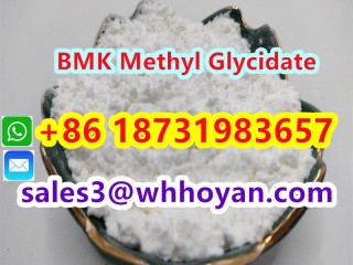 CAS [***] BMK Methyl Glycidate powder